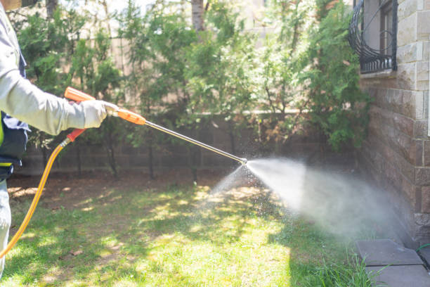 Best Wasp Removal Services  in Ord, NE