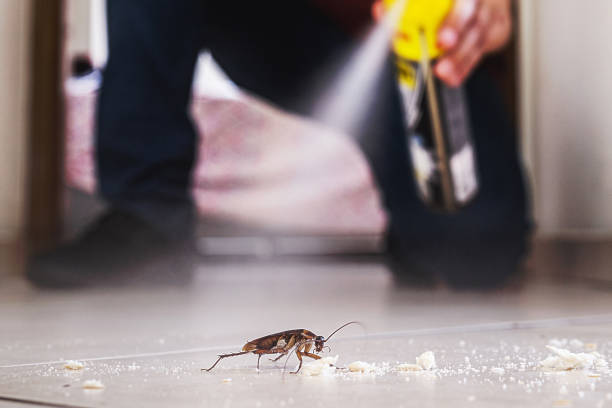 Best Affordable Pest Control Services  in Ord, NE